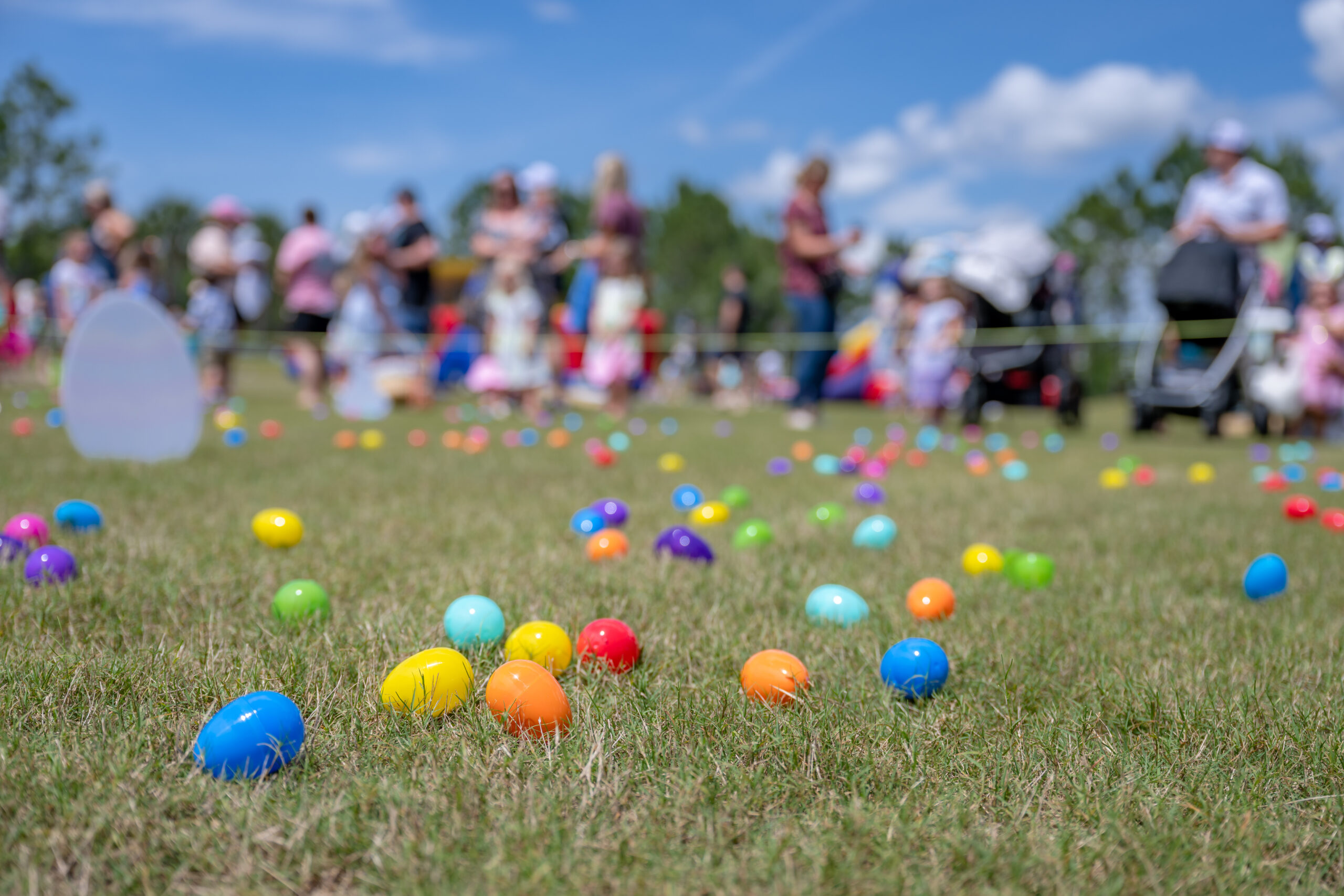 easter eggs in the grass with families in the background